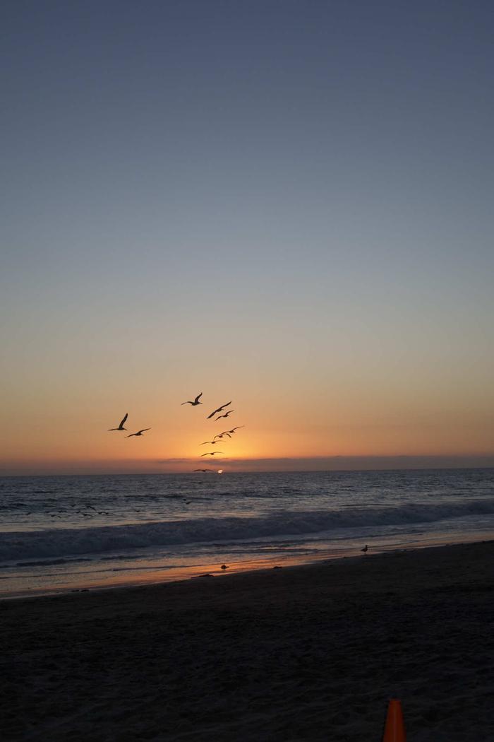 Post by carol_mcphee