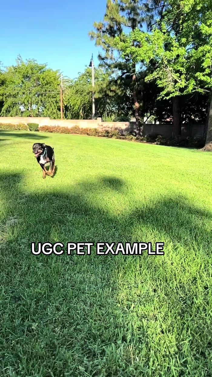 Post by brittanybugc