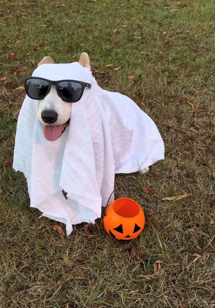 Post by jessicaochoamua