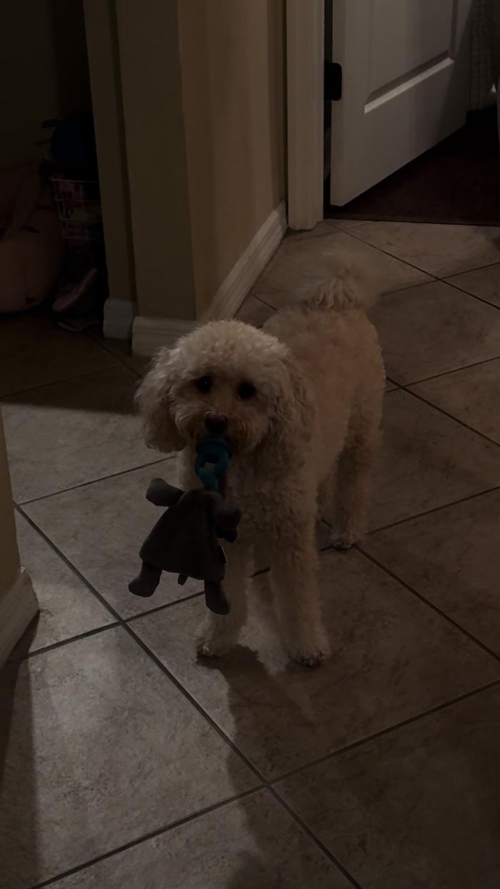 Post by madisonmcnelis