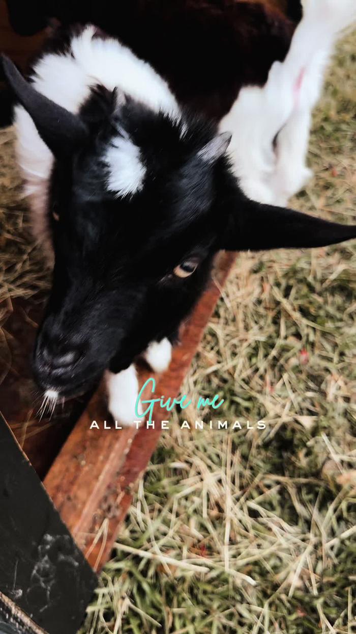 Post by shuannaewing