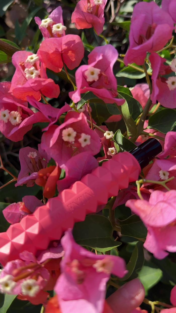 Post by elizabethstyle1