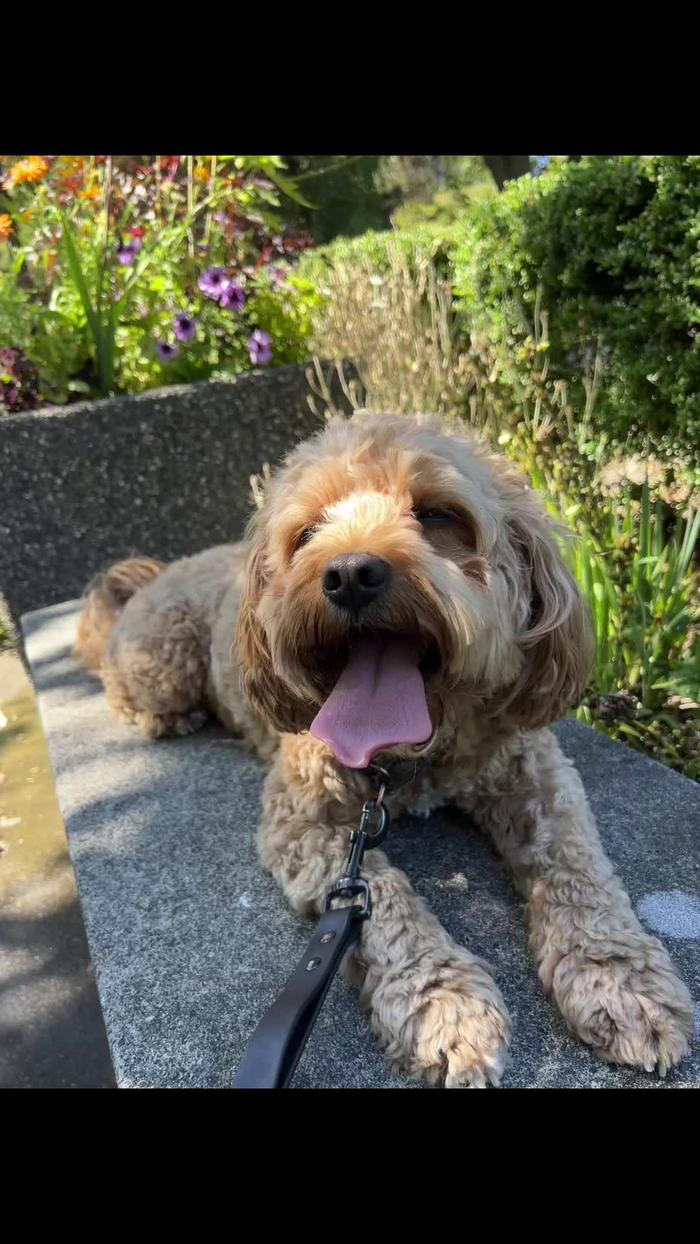 Post by sandithecreator