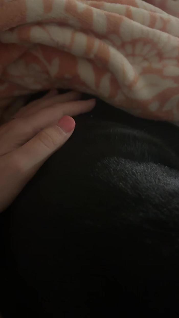 Post by jessie_nora1991