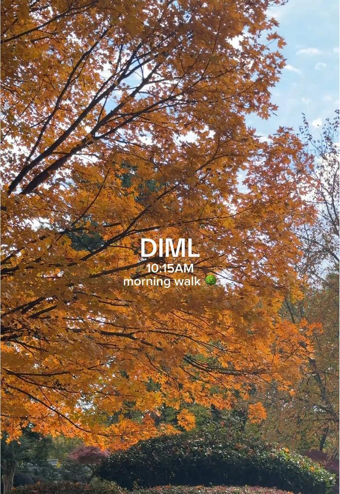 Post by zara_bhojani