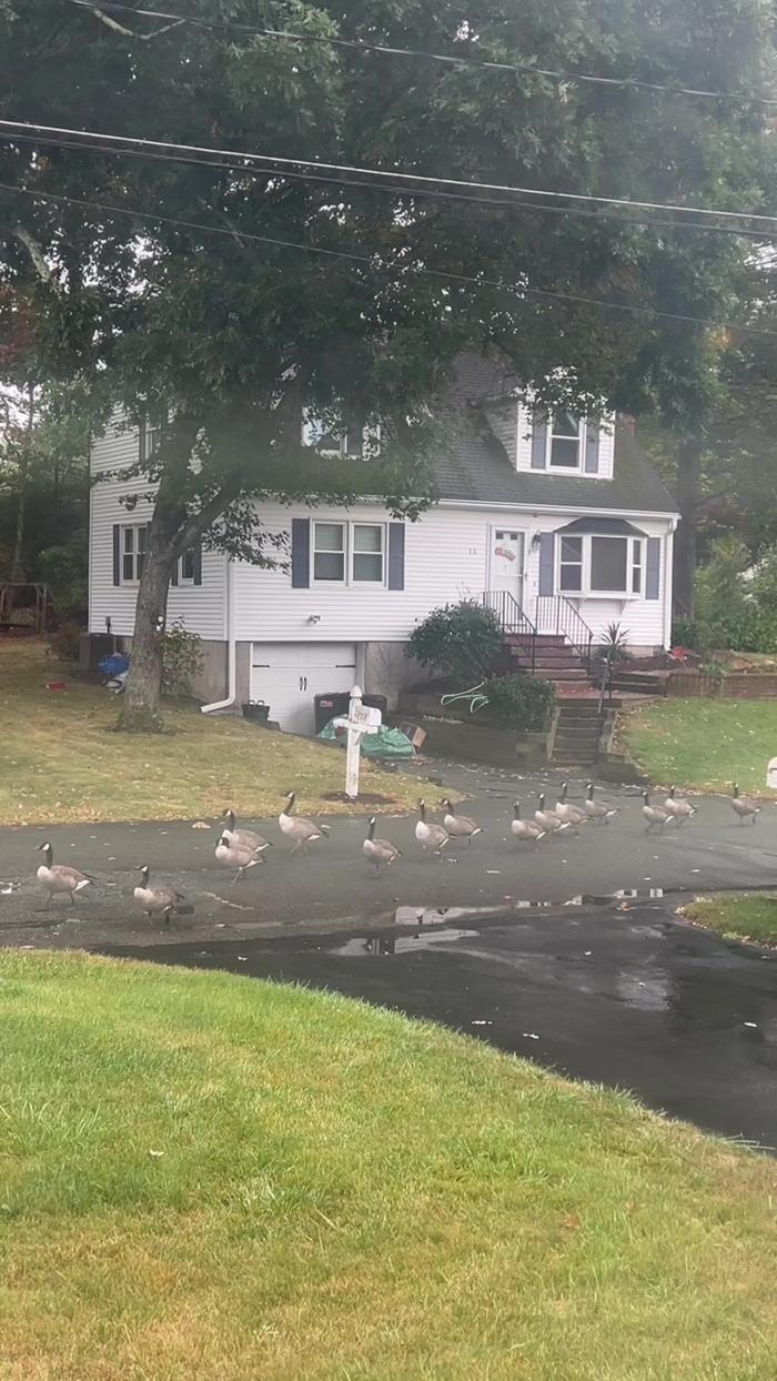 Post by thehayleymcmanus