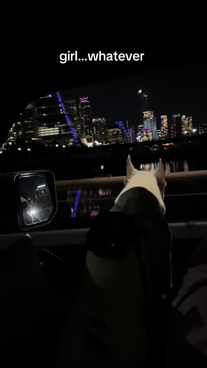 Post by the_bittermillennial