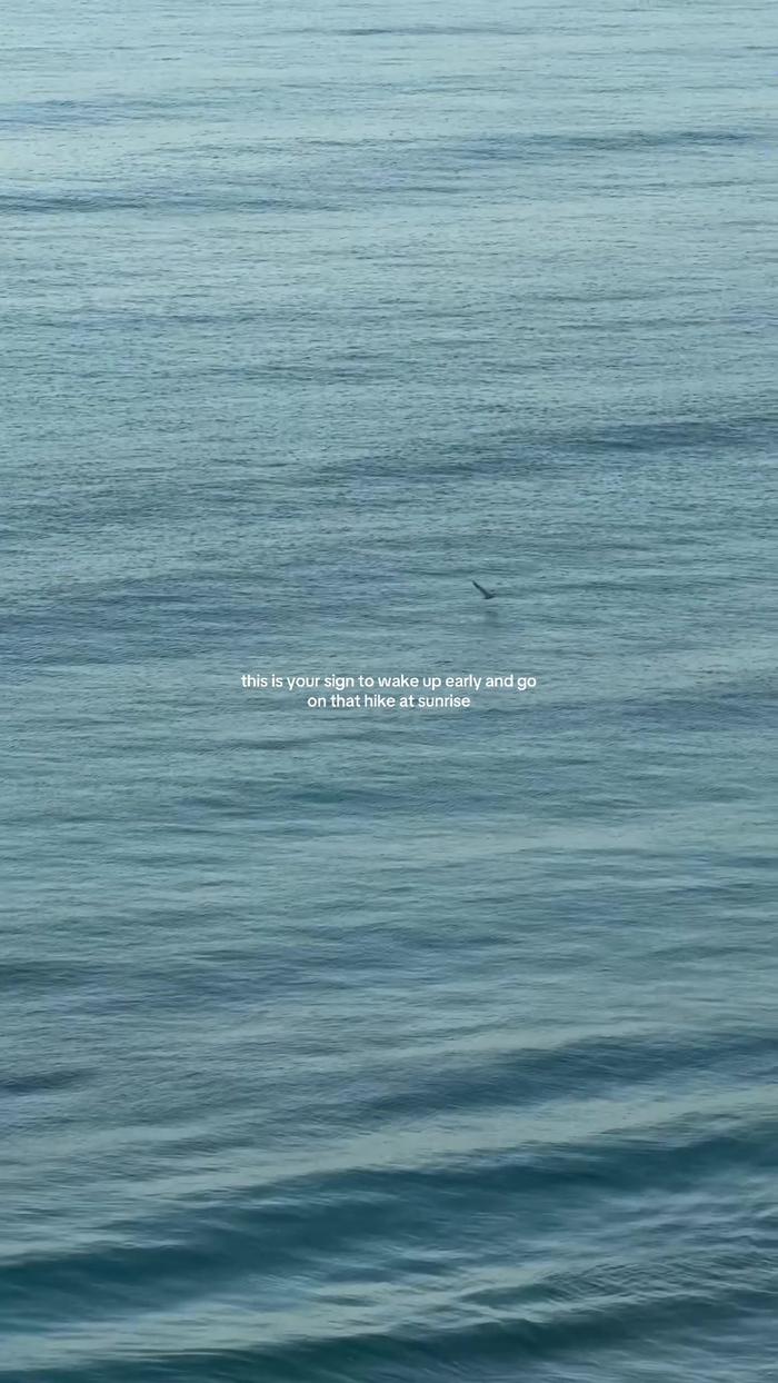 Post by haleyyjacobsonn