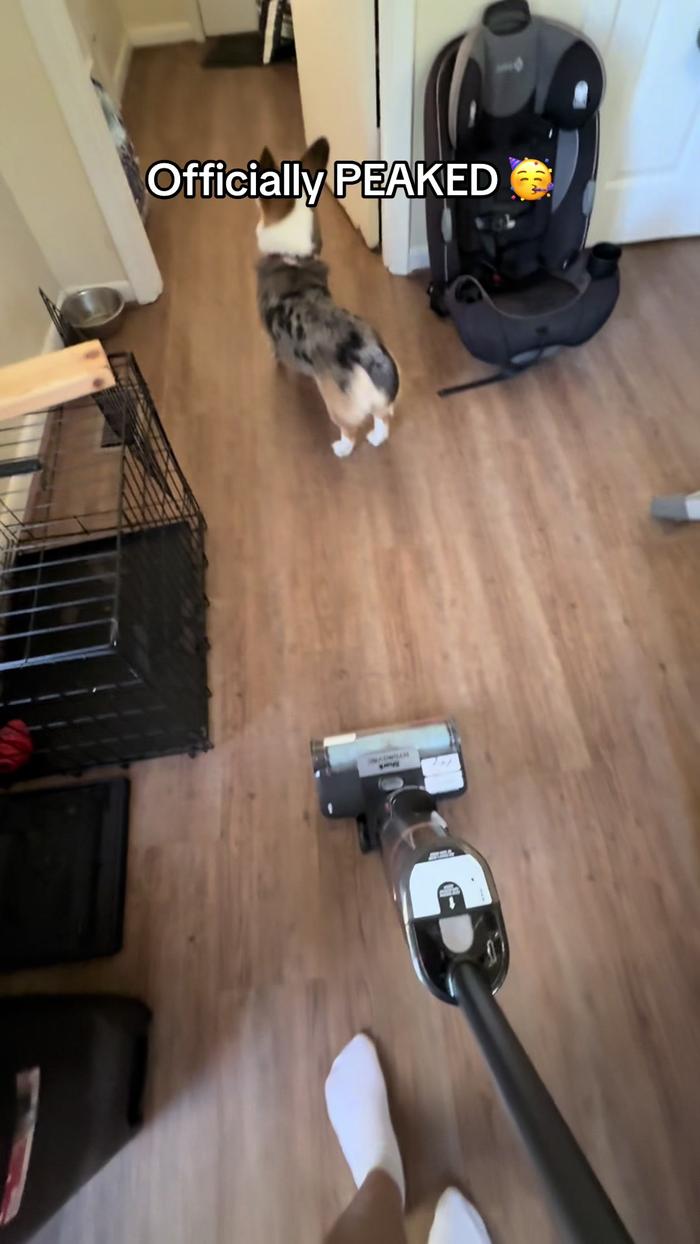 Post by notsomotherlyinstincts