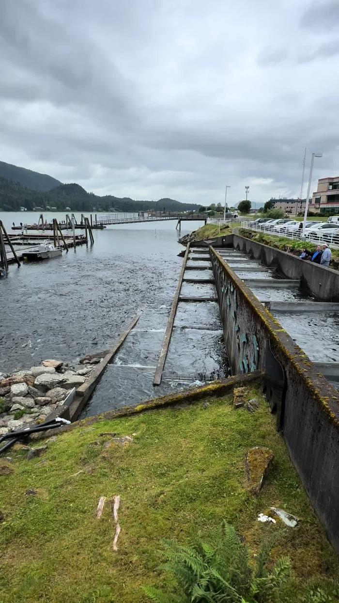 Post by angiesadventures0717