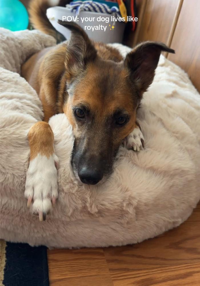 Post by mandyrozeee6