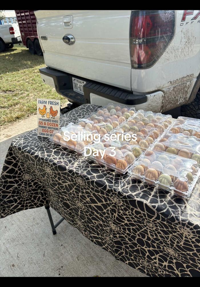 Post by courtneyyy5632