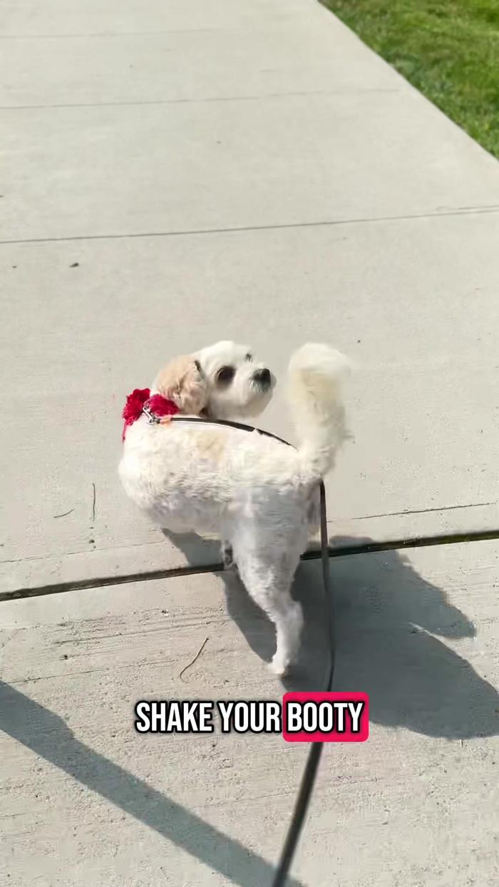 Post by monabalgobin