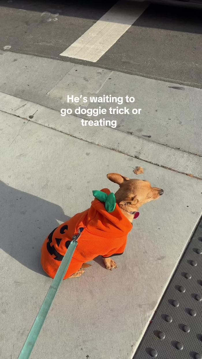 Post by juliepostsalot