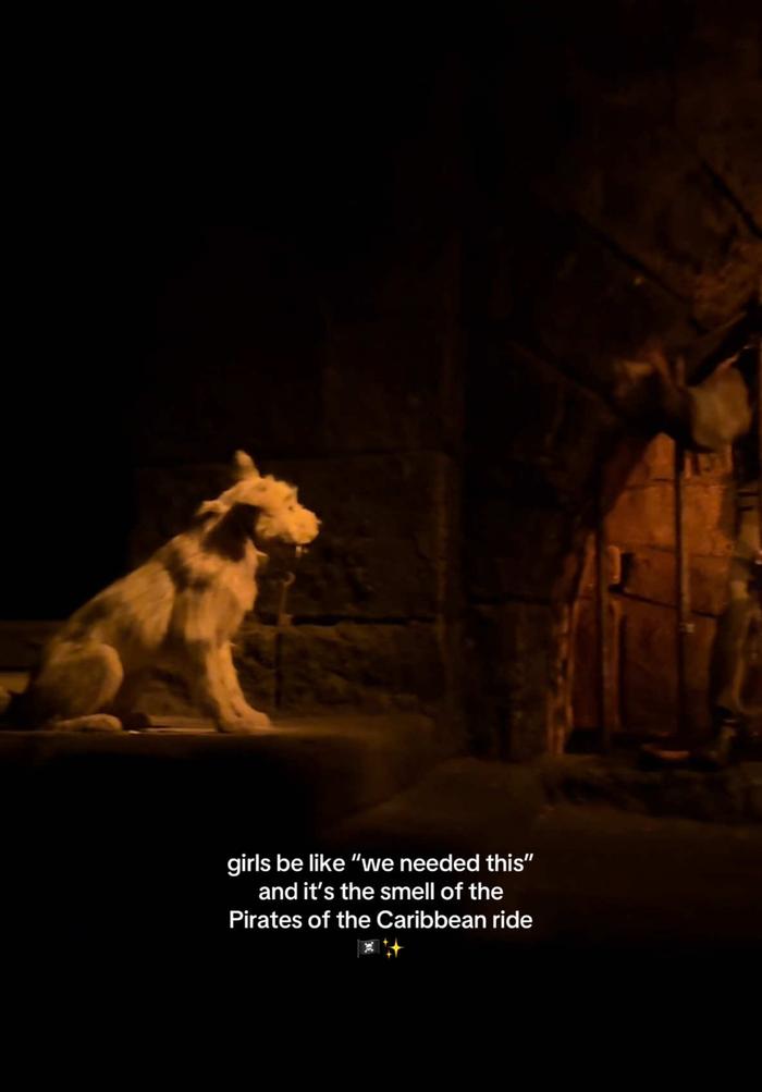 Post by melodykschmidt