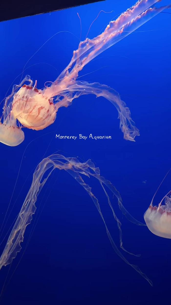 Post by _rebeccasilver