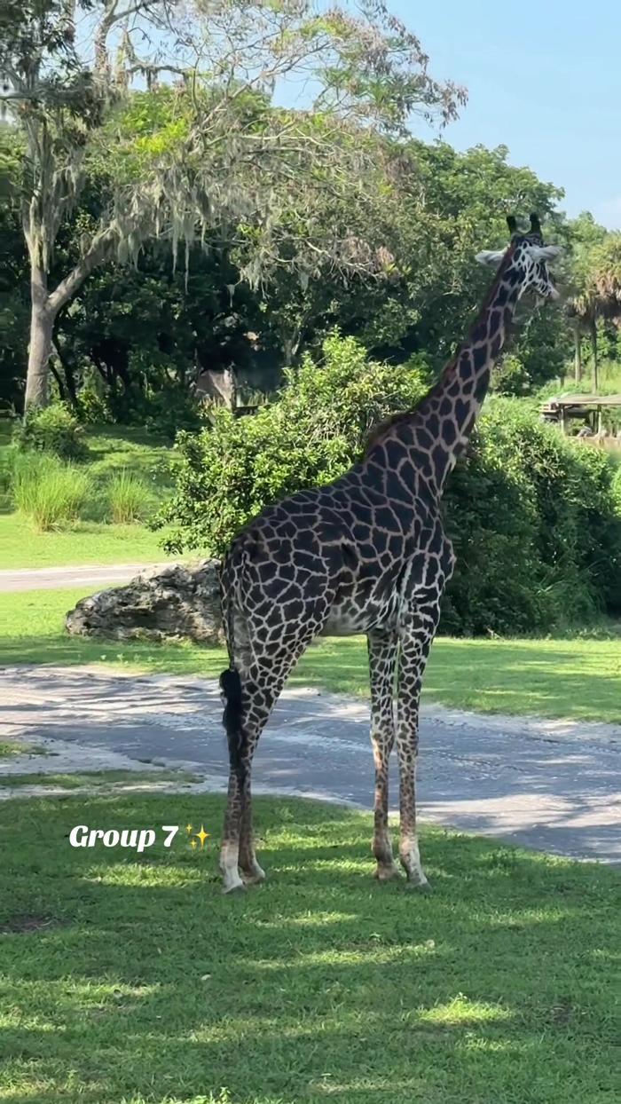 Post by ginzburggetaways