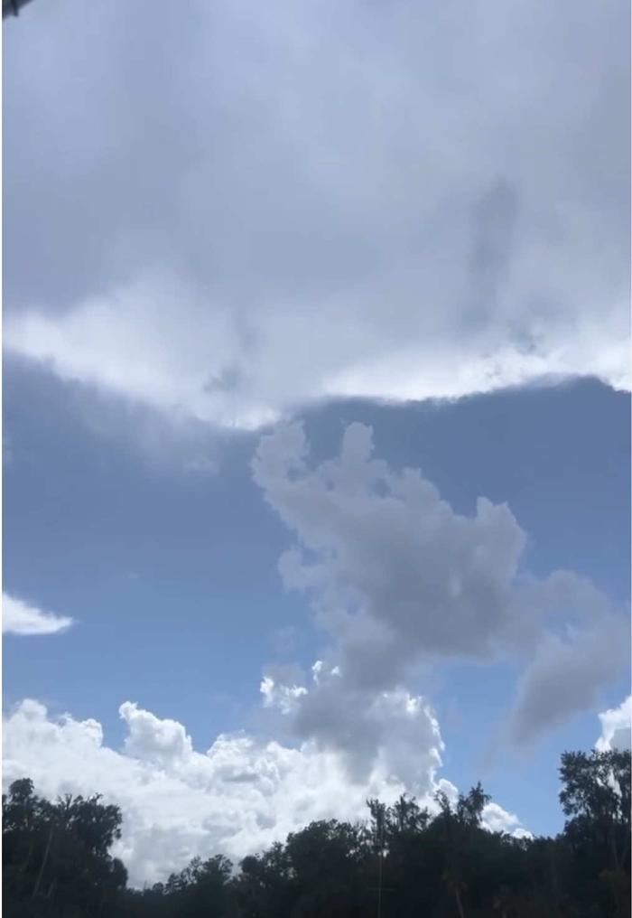 Post by garciaacarla