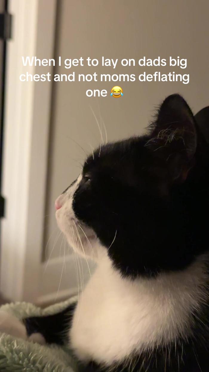 Post by allikattt_3116