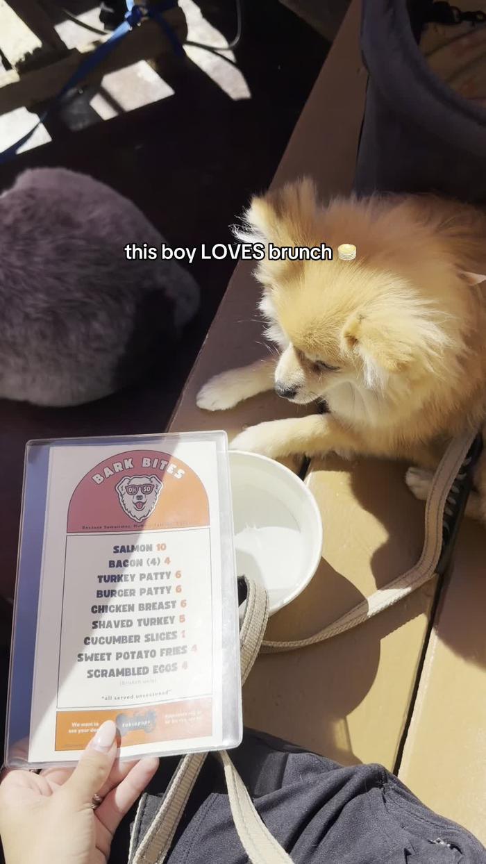 Post by sophiemalinosky_