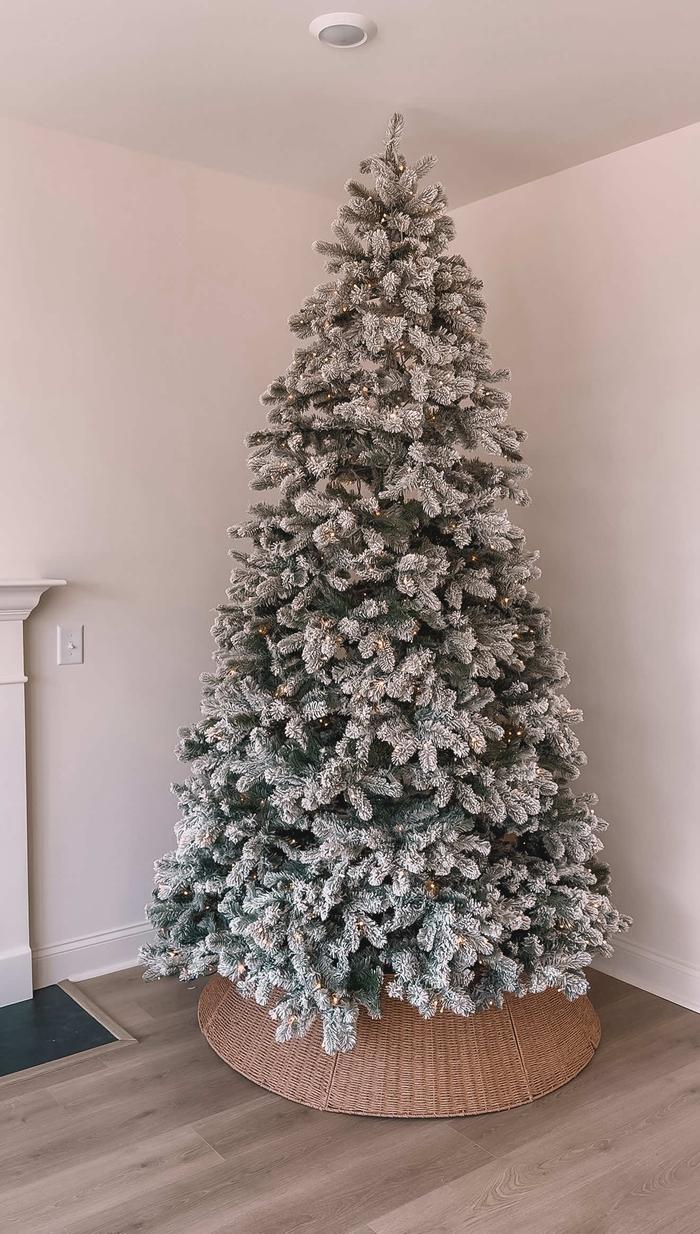 Post by erikabermudezhome