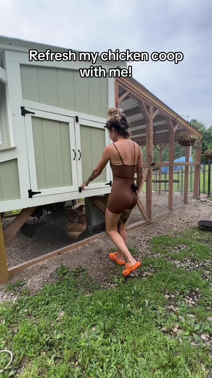 Post by judyonthefarm