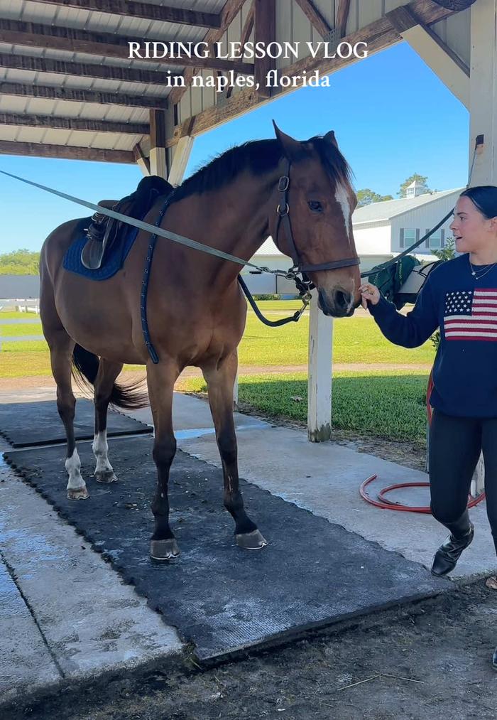 Post by bellagreen.19