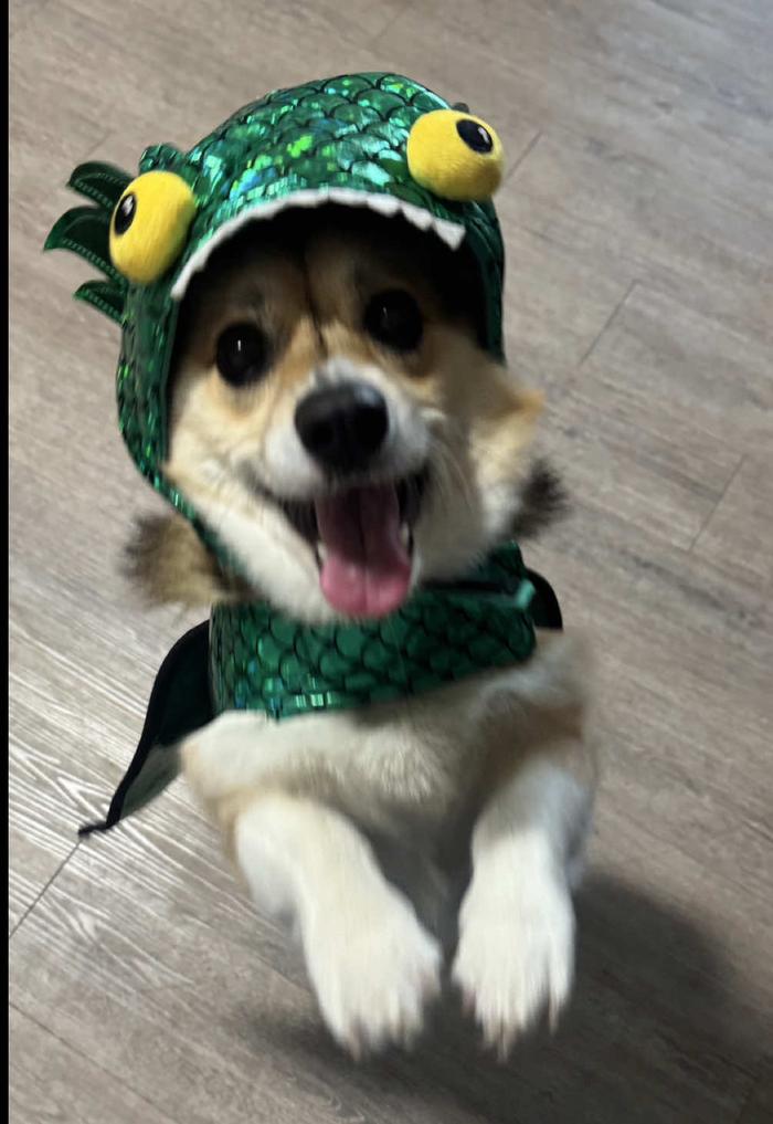 Post by amandappecora