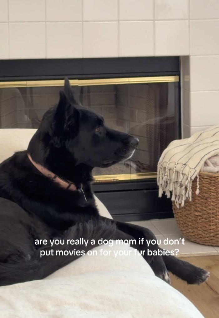 Post by jazzyjtorres