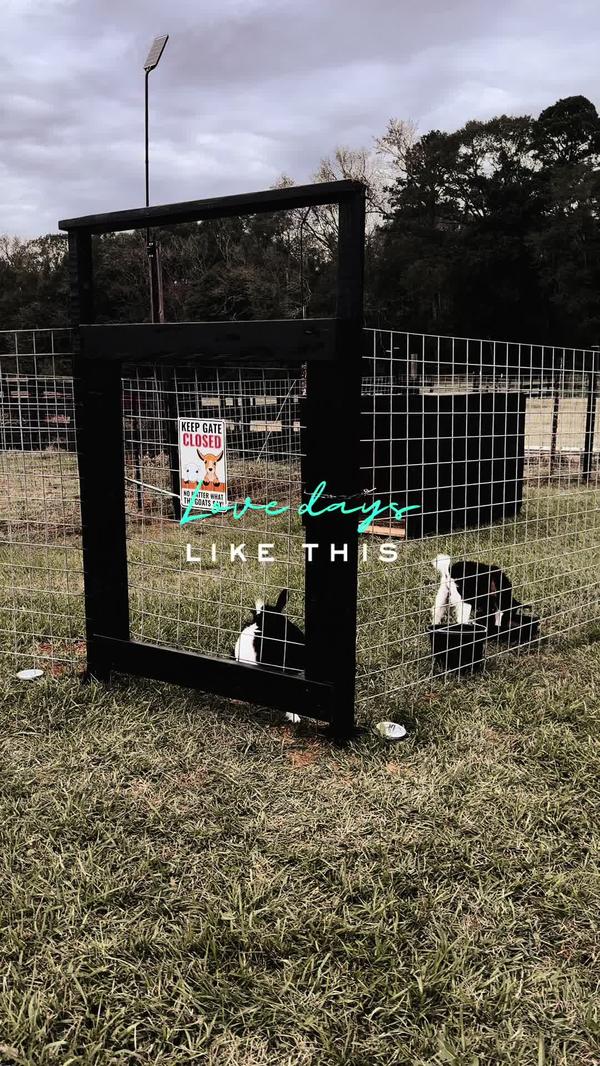 Post by shuannaewing