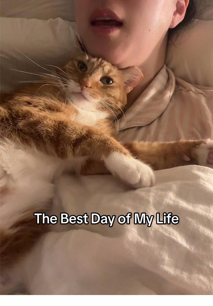 Post by mangotheknockout