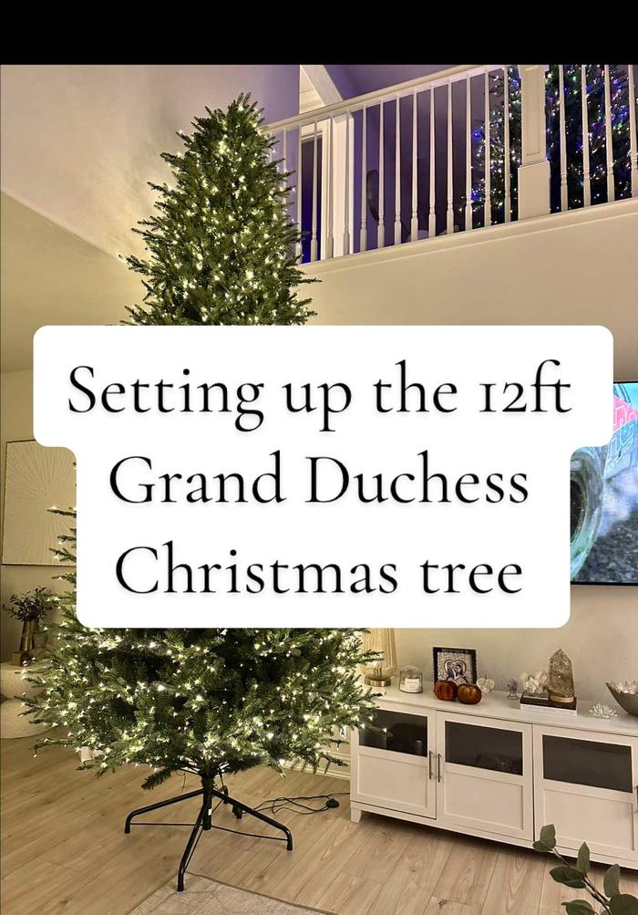 Post by lifewiththedelcampos