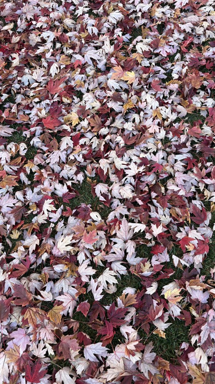 Post by juliepostsalot