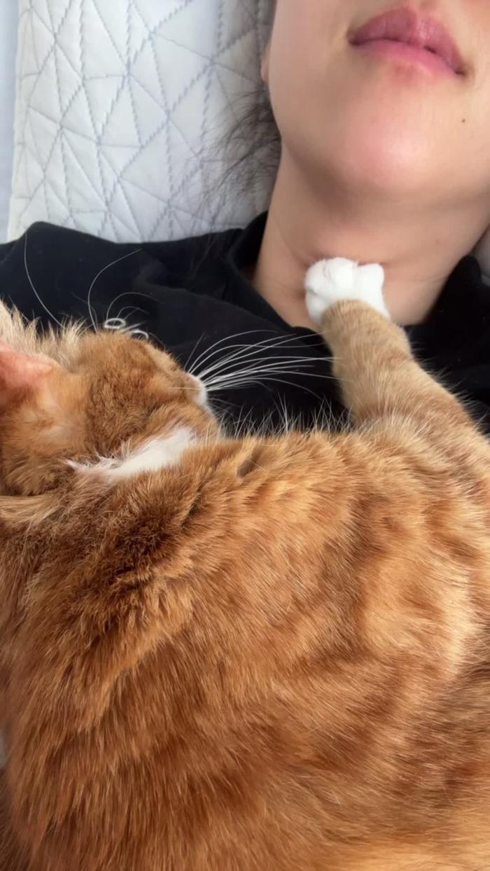 Post by mangotheknockout