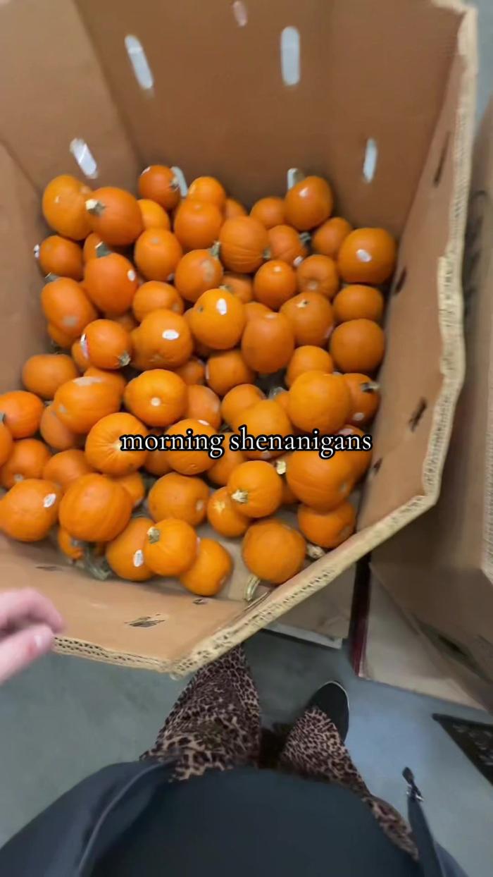 Post by dakotaklewis