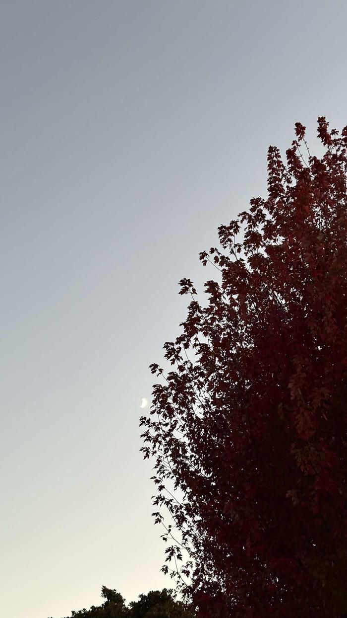 Post by juliepostsalot