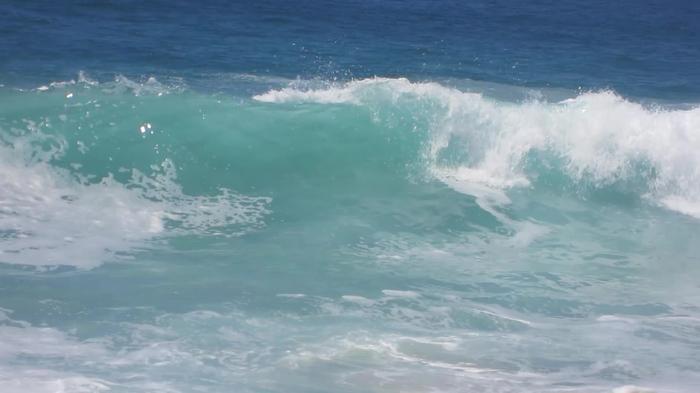 Post by sophadoph1.0